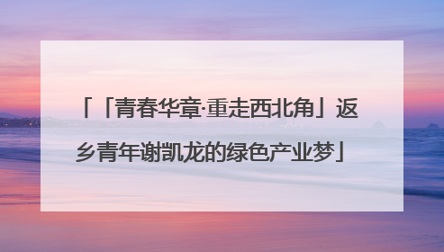 「青春华章·重走西北角」返乡青年谢凯龙的绿色产业梦